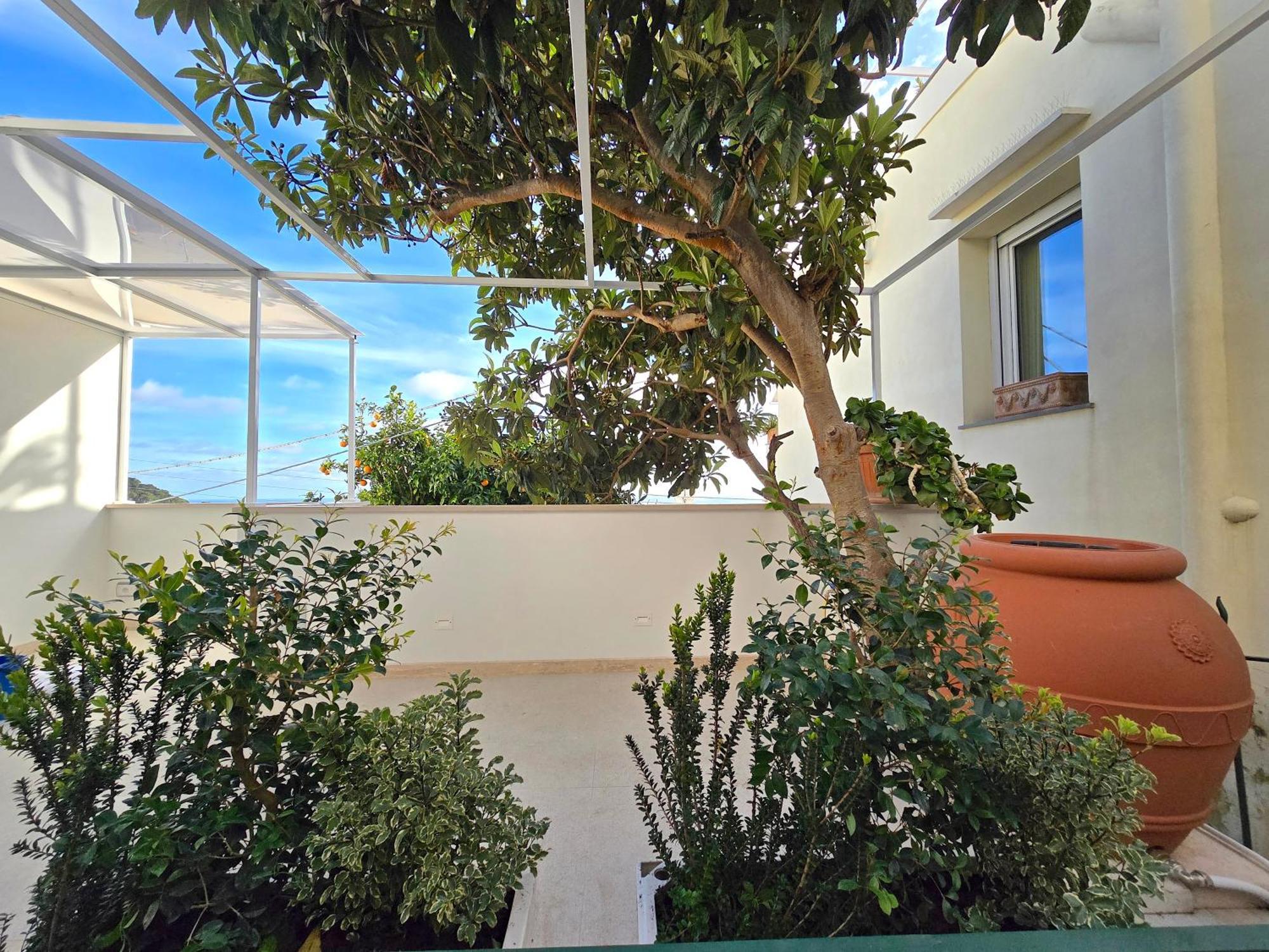 Sopramonte Exclusive Rooms Capri Kültér fotó